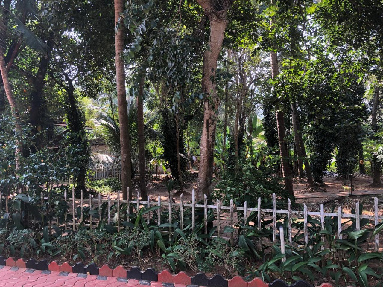 Ayuryogashram Heritage Thrissur Exterior photo